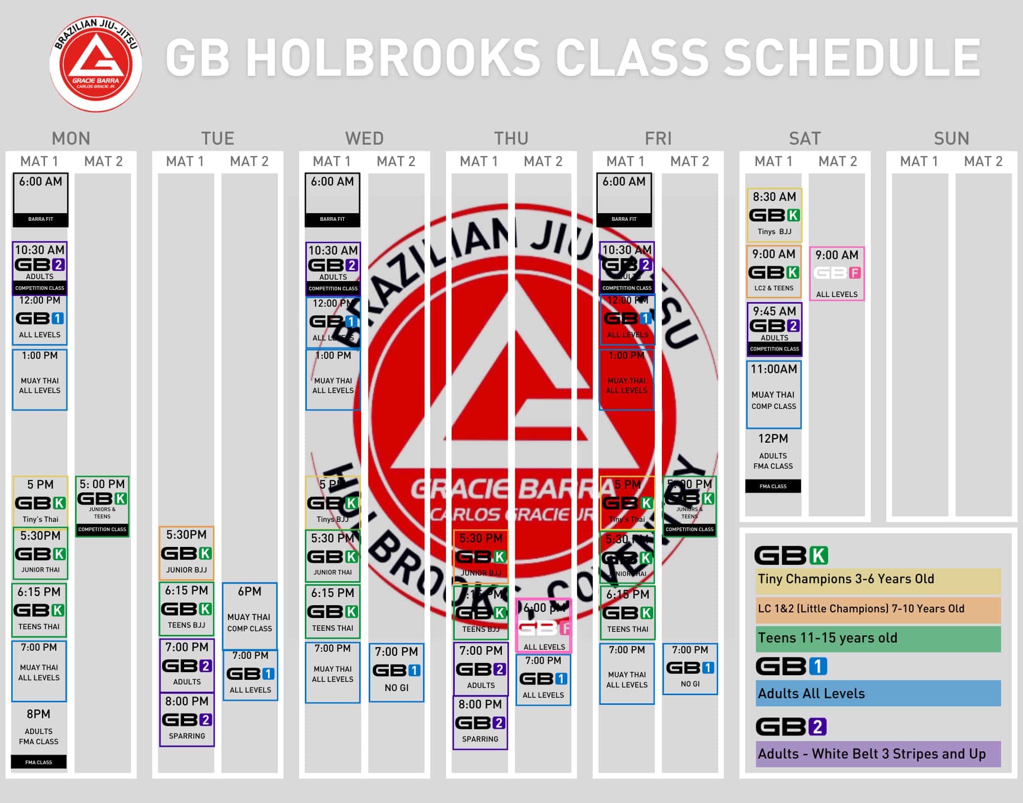 Gracie Barra Holbrooks Class Schedule