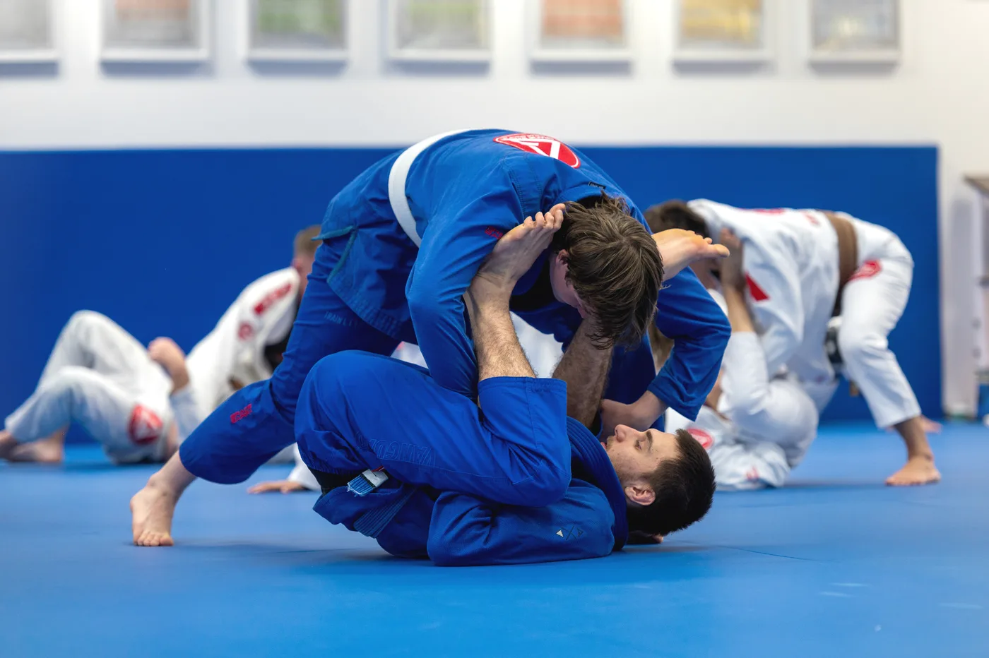 Adults training Jiu-Jitsu at Gracie Barra Holbrooks